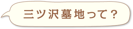 三ツ沢墓地って？